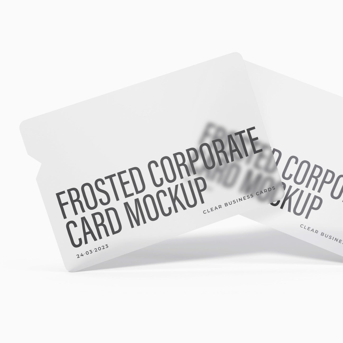 Frosted Plastic Business Card